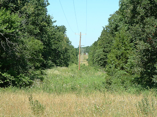 Electrical lines clear of trees after ROW Program was created